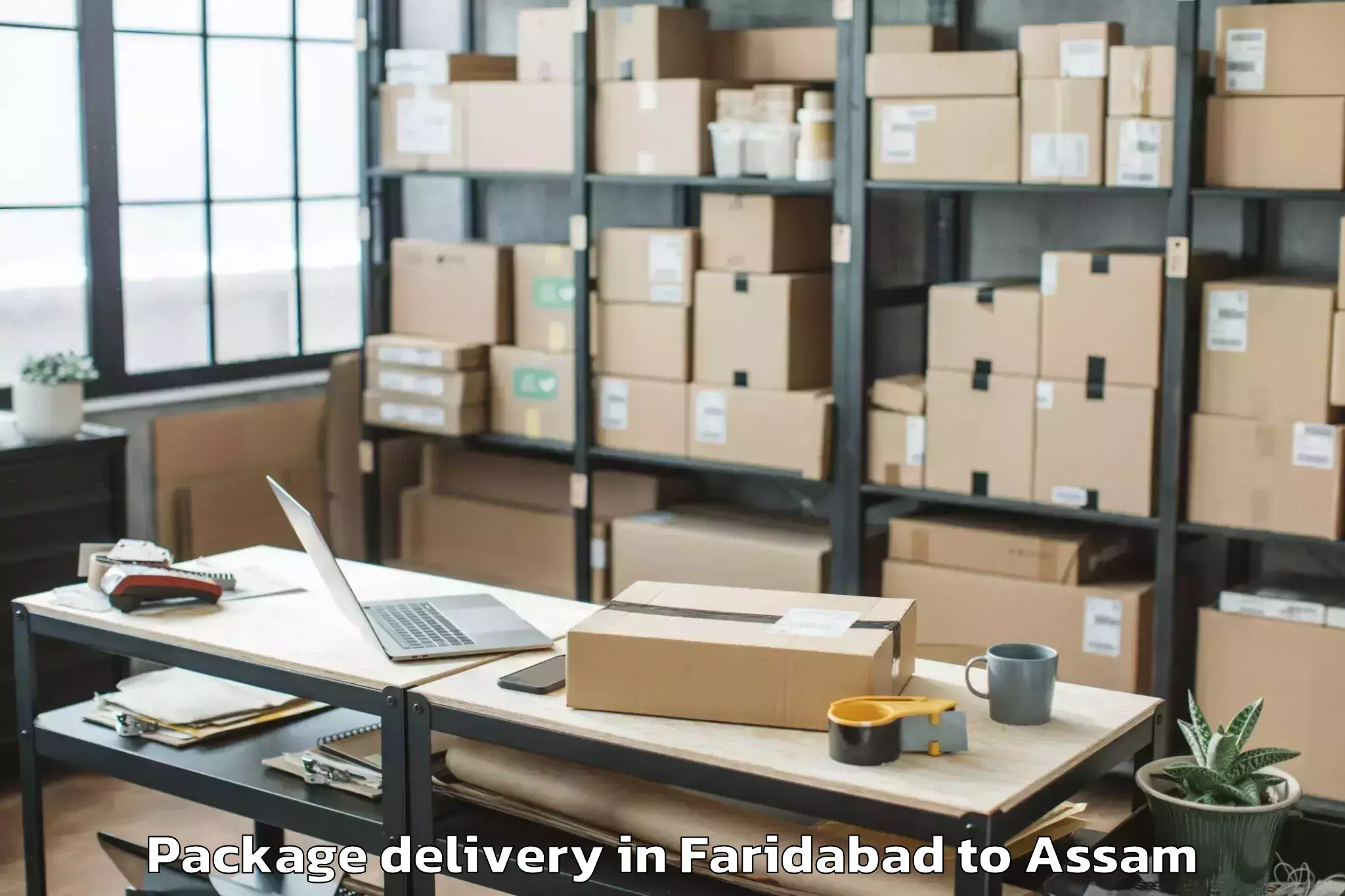 Easy Faridabad to Baganpara Pt Package Delivery Booking